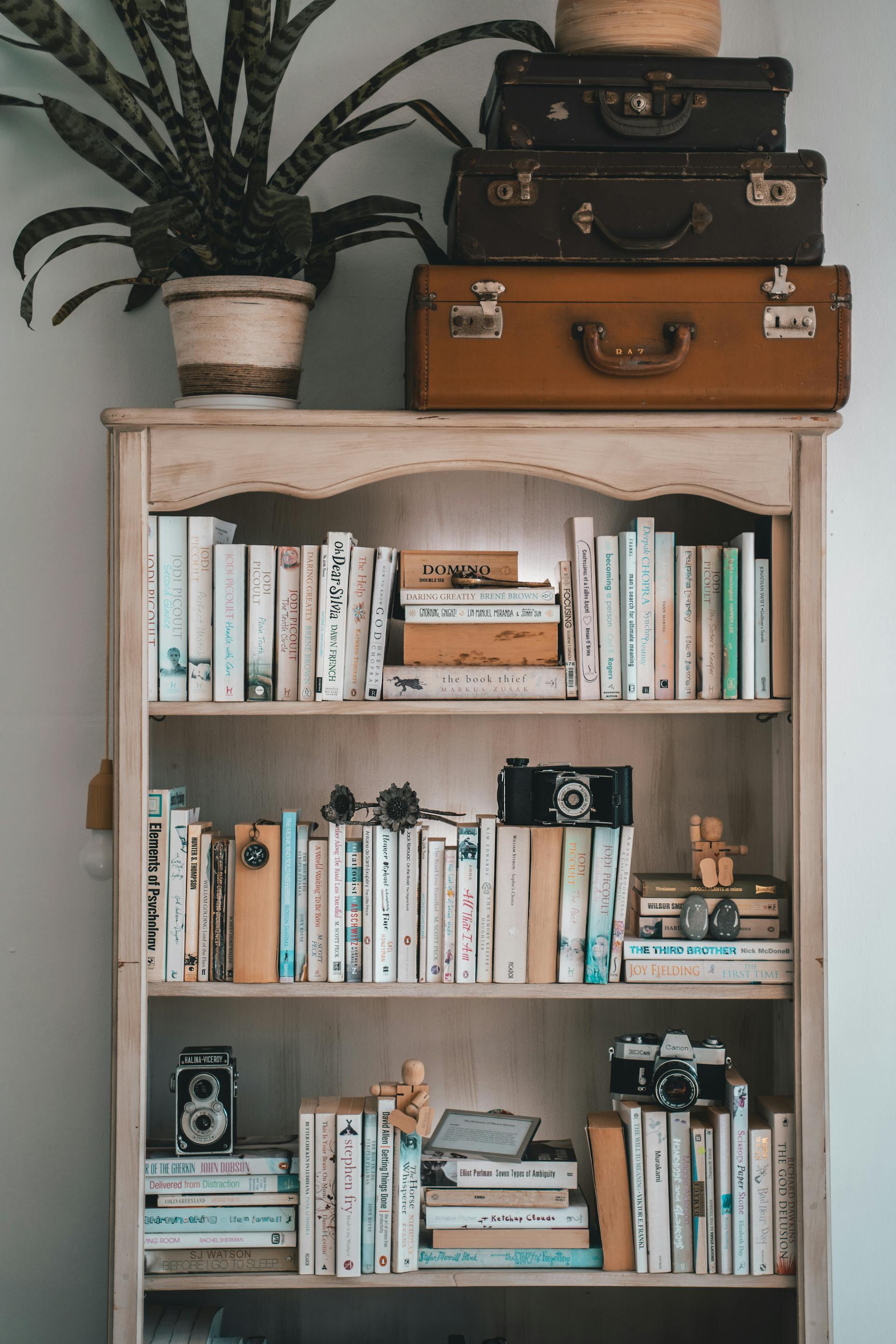 Study room bookshelf